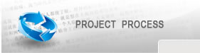 项目过程